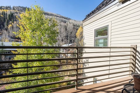 Private deck overlooking the San Miguel River and perfect views of the Mountains.