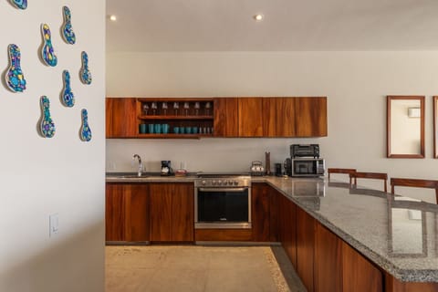 A fully equipped modern kitchen with stylish wood cabinetry, an open layout, and high-end appliances.