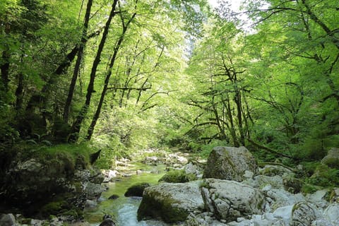 Activities, Autumn, Spring, Summer