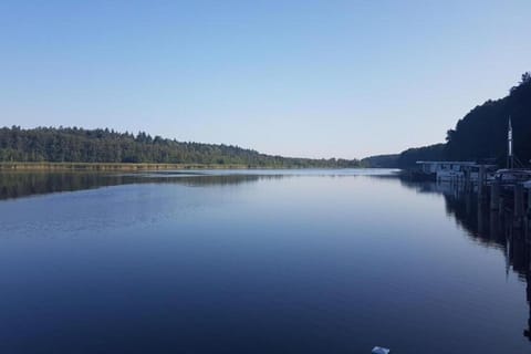 Immediate Surroundings [summer] (&lt;1 km)