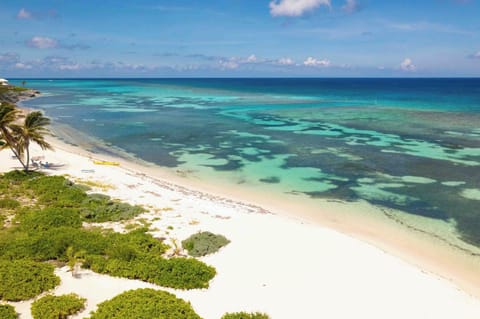 On the beach, sun loungers, beach towels