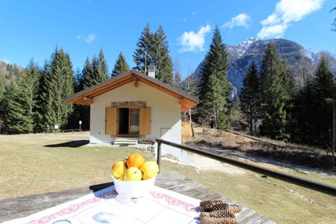 Autumn, Garden, Spring, Summer