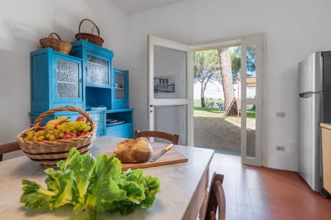 Autumn, Kitchen, Spring, Summer