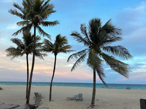 On the beach, sun loungers, beach towels