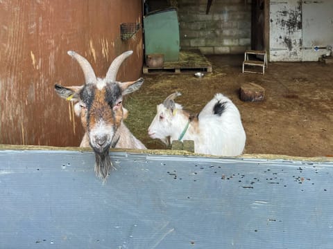 Surrounding area | Pine Lodge, Tansley, near Matlock