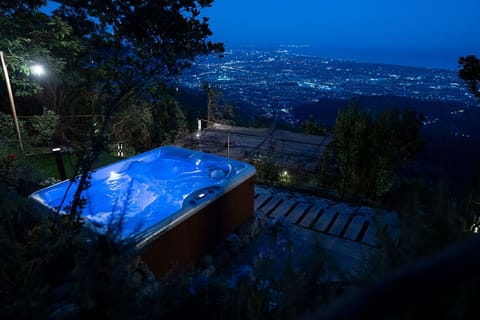 Sky, Plant, Blue, Tree, Building, Swimming Pool, Shade, Landscape, Roof, Leisure