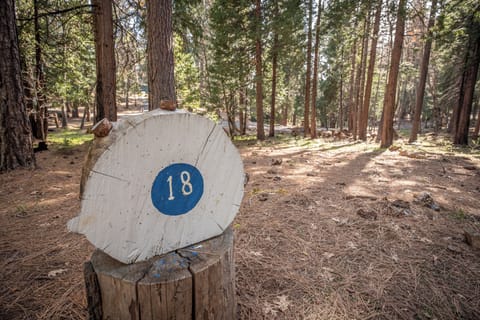 Disc Golf at Rec Center