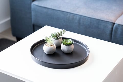 Stylish white coffee table featuring a black tray with three small potted succulents. The minimalist decor adds a modern touch, blending natural elements with sleek design. Perfect for creating a fresh and inviting atmosphere in a contemporary living space.

Goedkoop overnachten in stijl – ontdek dit moderne verblijf met grote ramen en gezellige zithoek.

