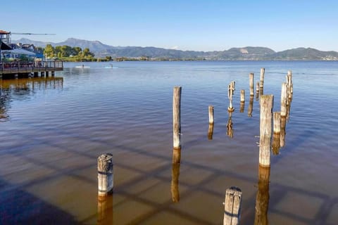 Region [summer] (&gt;5 km)