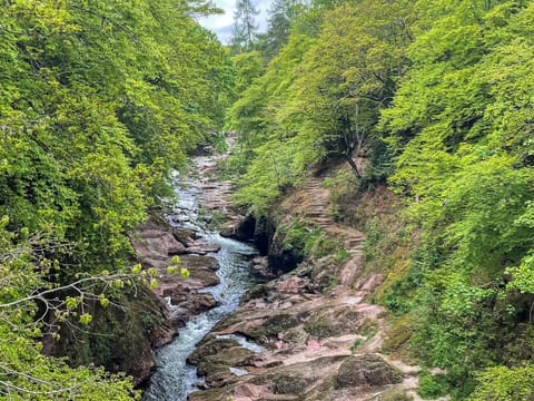 Surrounding area | The Garden Pod, Brechin