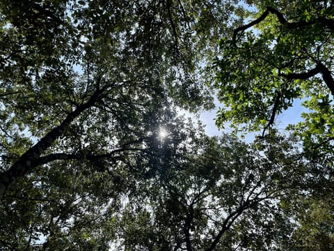 fbb71fad-ab39-4163-a45d-0b8d2b62afe8