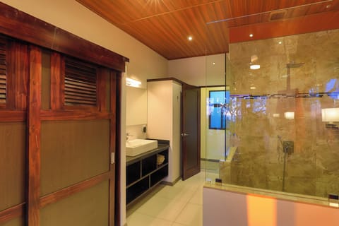 Shower, jetted tub, hair dryer, towels