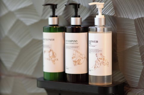 Eco-friendly toiletries, hair dryer, towels, soap