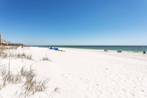 On the beach