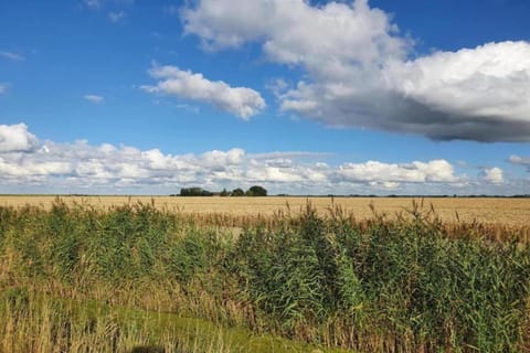 Region [summer] (&gt;5 km)