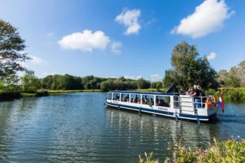 Region [summer] (>5 km)