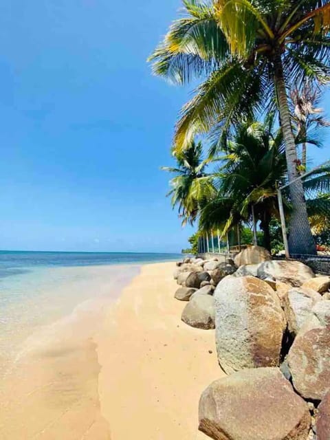 Sun loungers, beach towels