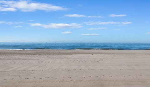 On the beach