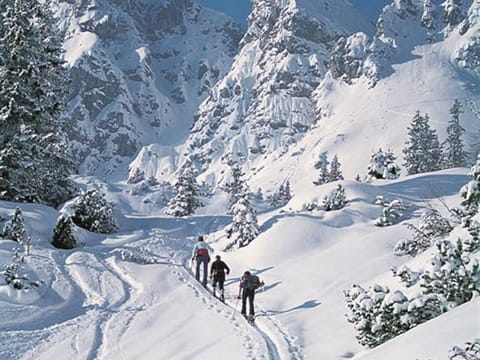 Snow and ski sports