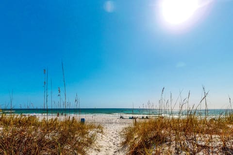 On the beach