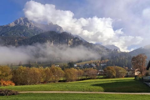 Region [summer] (>5 km)