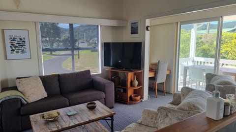 TV, fireplace, books