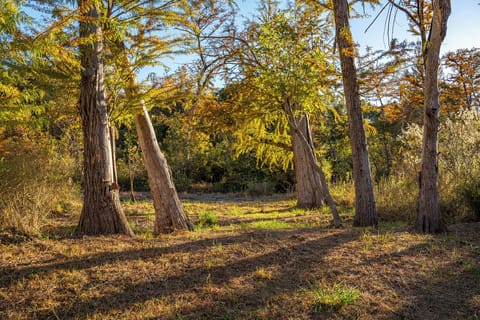 Nestled beside the river, a charming meadow offers the perfect spot for a peaceful picnic. Surrounded by wild grasses and the gentle sounds of the water, this serene space invites you to relax, enjoy a meal, and take in the natural beauty of the riverbank.