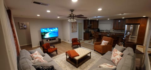 Smart TV, fireplace, computer monitors