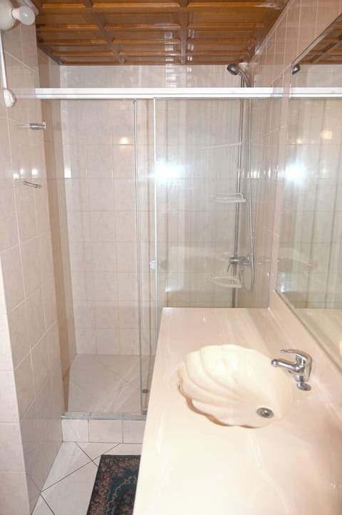 Shower, jetted tub, hair dryer, towels