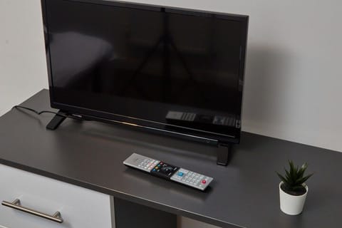 Television