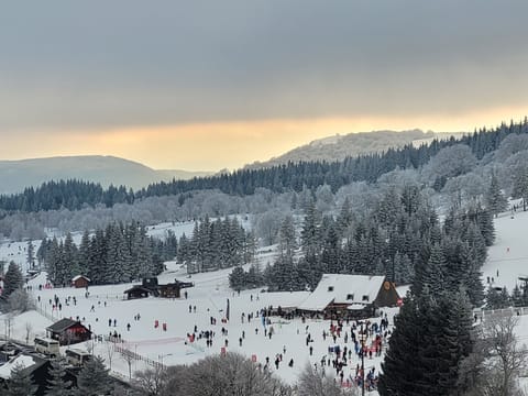 Snow and ski sports