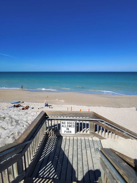 Beach nearby, sun loungers