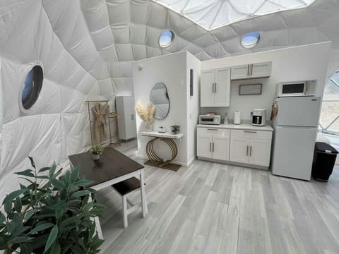 Private dome with covered skylight, kitchenette, studio king bed set up