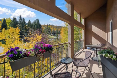 woodrunplace-26-5576_54065574345_o