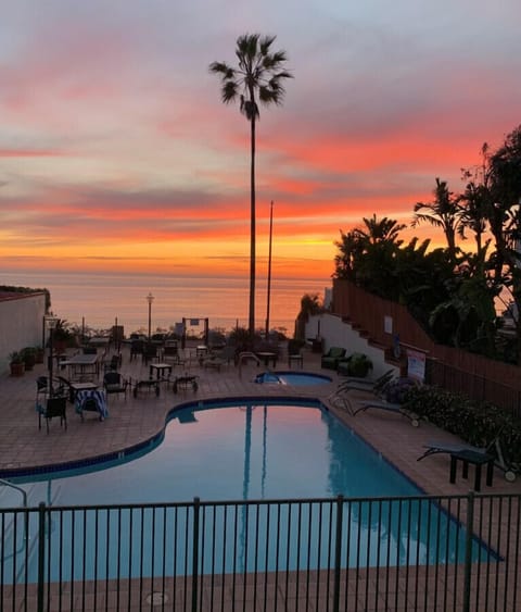 Beautiful sunset view with a pool, surrounding lounge chairs, and a tall palm tree overlooking the ocean