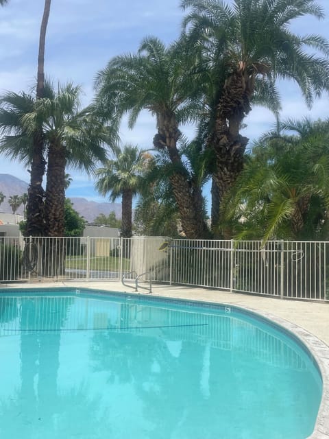 Pool is fifteen steps off back patio