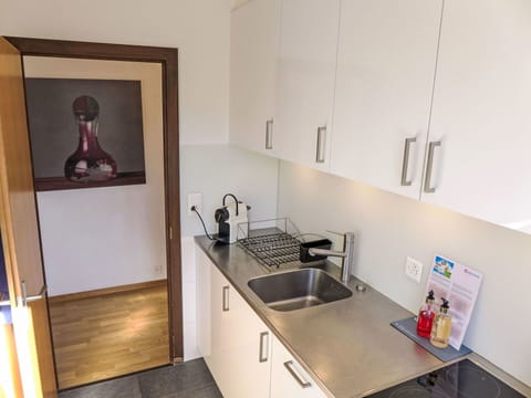 Kitchen Sink, Sink, Tap, Cabinetry, Plumbing Fixture, Countertop, Kitchen, Wood, Interior Design, Kitchen Stove