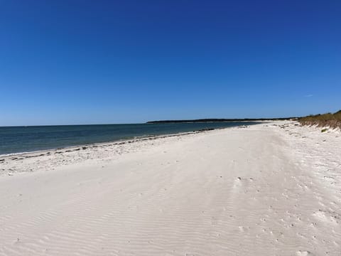 On the beach