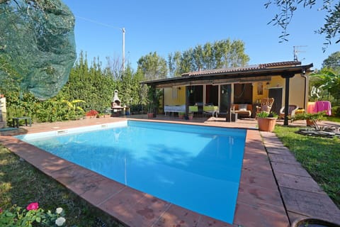 Garden, Outdoor, Pool