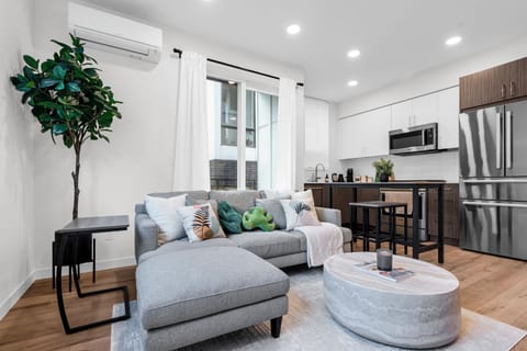 Open space living room and kitchen space