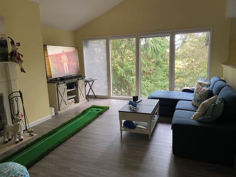 Smart TV, fireplace, video games, computer monitors