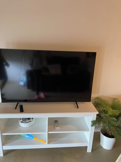 Television