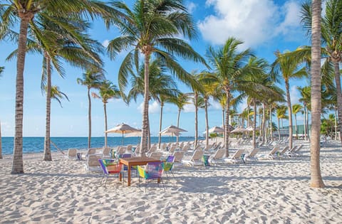 Sun loungers, beach towels