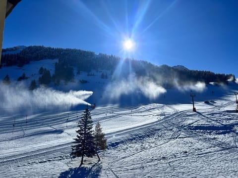 Snow and ski sports