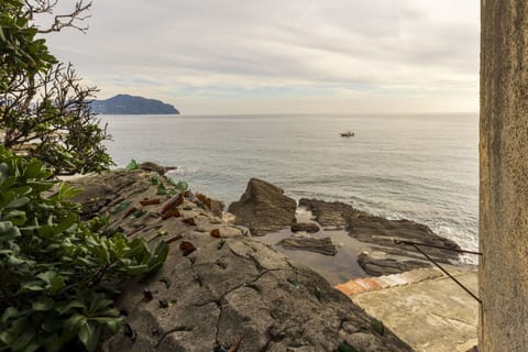 Autumn, Spring, Summer