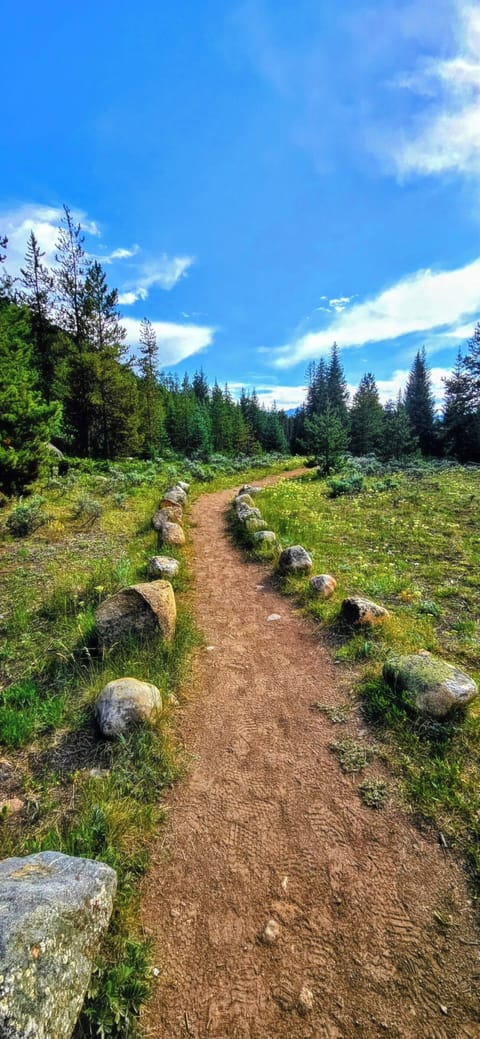 Beautiful walking trails steps from your unit