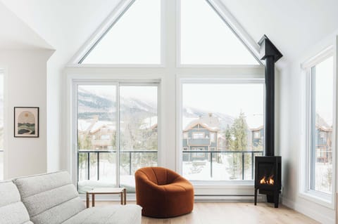 TV, fireplace, books, stereo