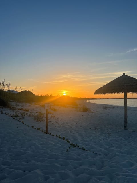 Sun loungers, beach towels