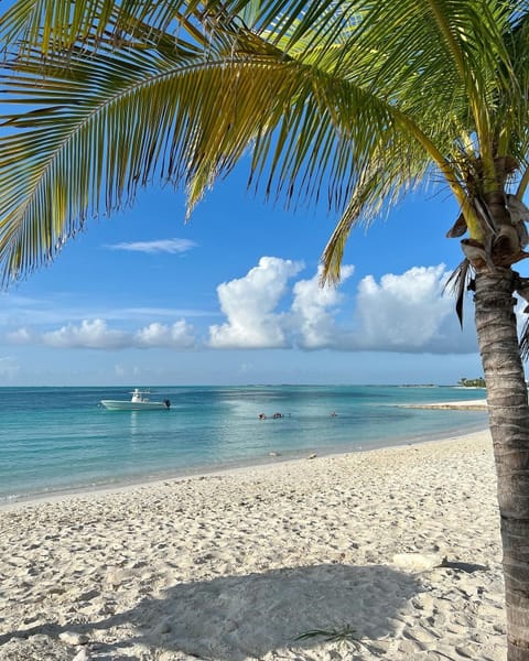 Sun loungers, beach towels