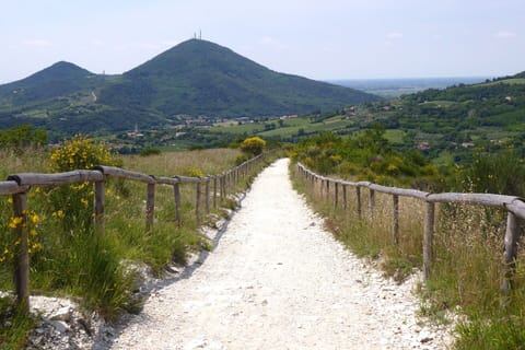 Activities, Autumn, Spring, Summer